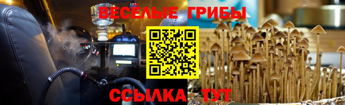 Рузаевка  Галлюциногенные грибы Psilocybe  Вход с VPN  Псилоцибиновые грибы Psilocybe 